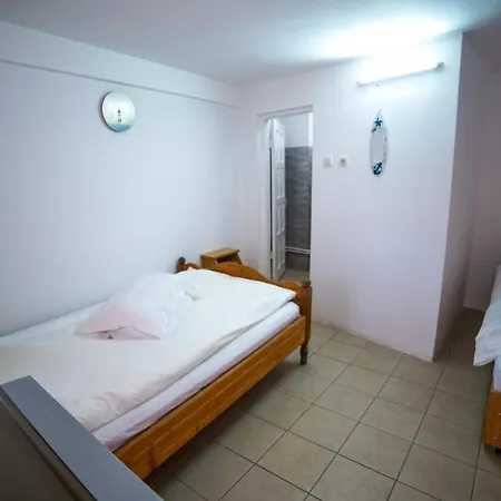 Guest house Casa La Nea Petrica Vama Veche
